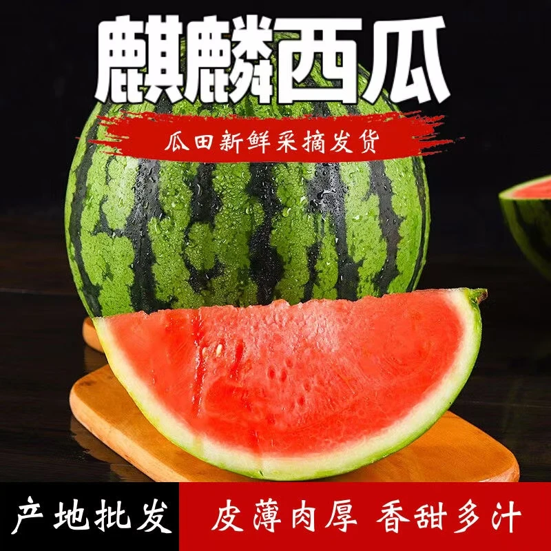 【y爆甜麒麟西瓜新鲜麒麟瓜无籽西瓜脆甜多汁源头现摘皮薄肉厚爆甜