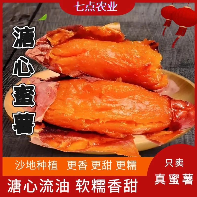 正宗沙地烟薯蜜薯烤香薯溏心流油软糯丝滑健康辅食红薯25号烟薯