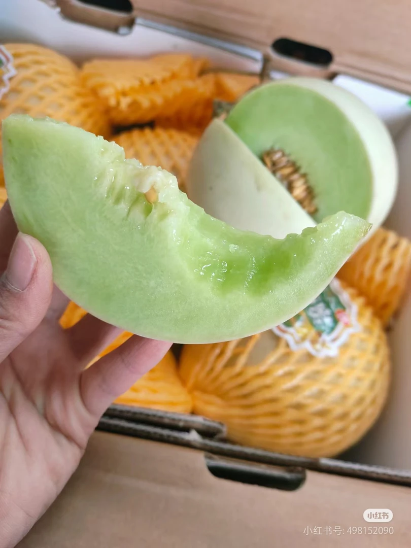 奶香蜜瓜一个（二斤半左右）