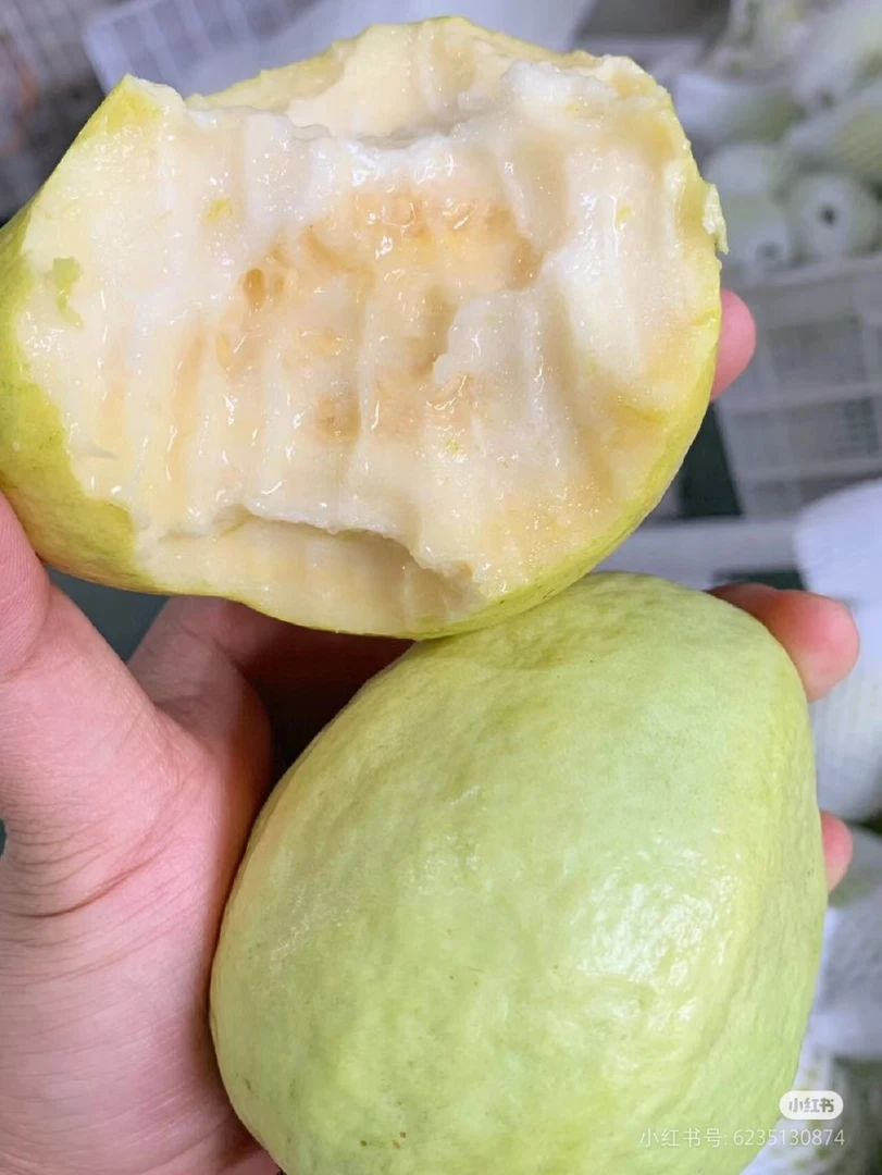 精品奶油芭乐2个装
