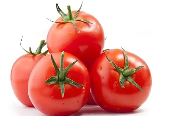 新鲜西红柿约350克