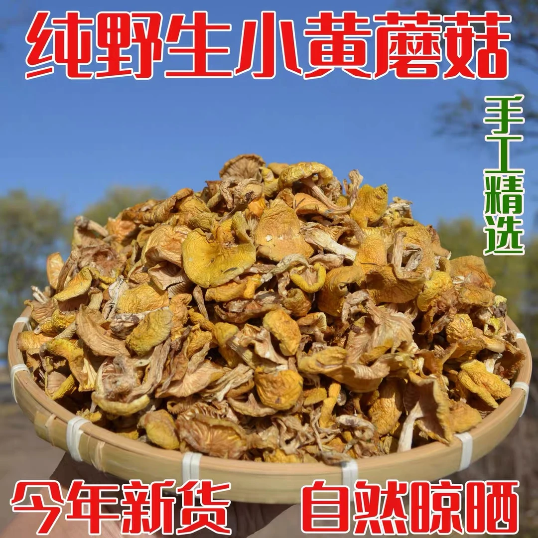 【牛二条】东北特产野生小黄蘑干货黄松蘑口感滑嫩煲汤炖鸡干菌500g