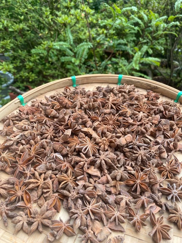 【土特产】八角100g