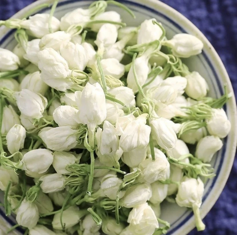 【土特产】茉莉花50g