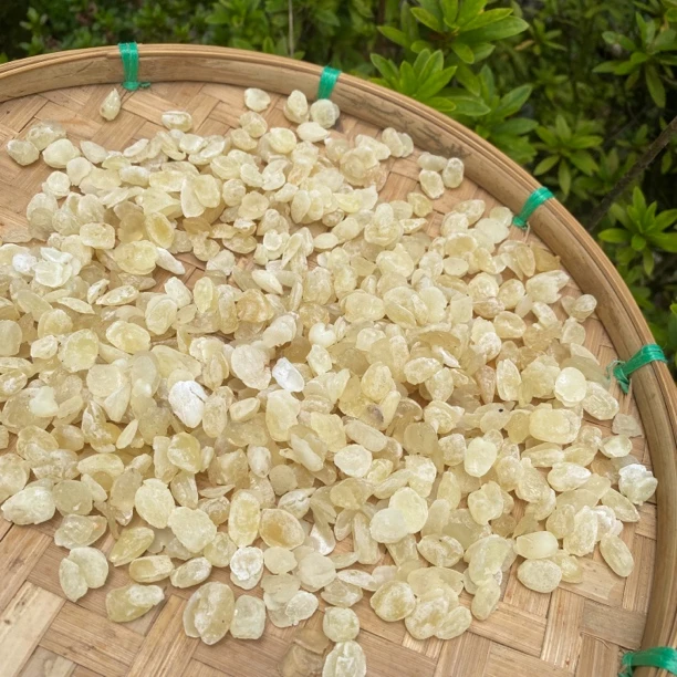 AA【土特产】皂角米250g