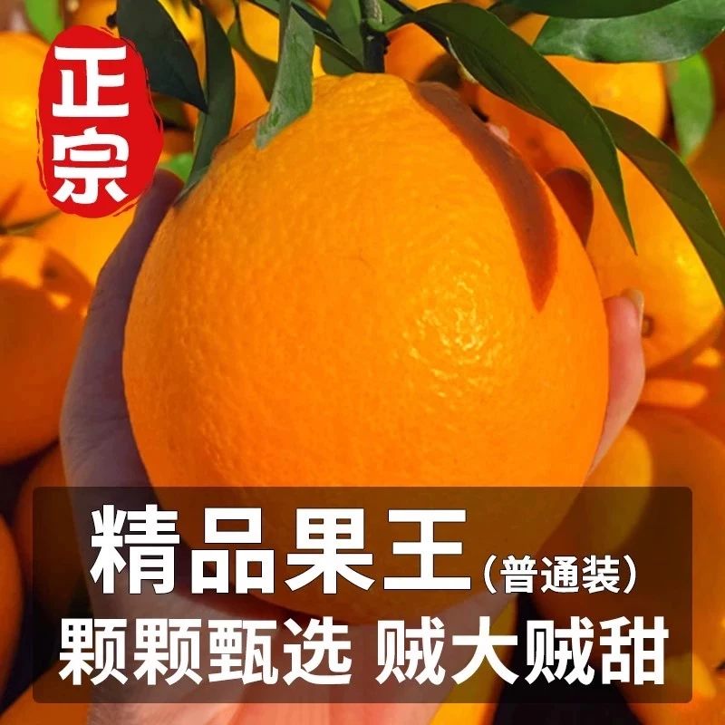 10斤整箱正宗赣南脐橙   大果   产地直销    当季新鲜水果橙子  同城配送  小时达