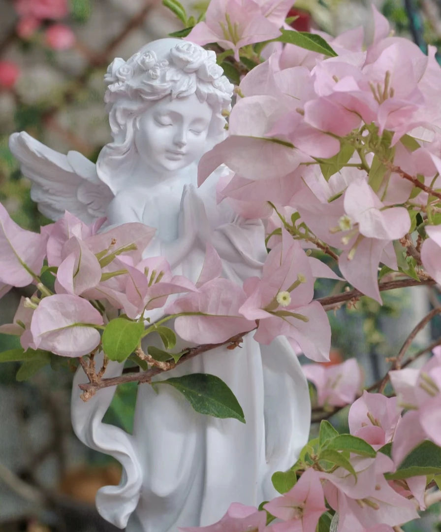 【粉天使】三角梅不带花绿植盆栽网红好养勤花绿植