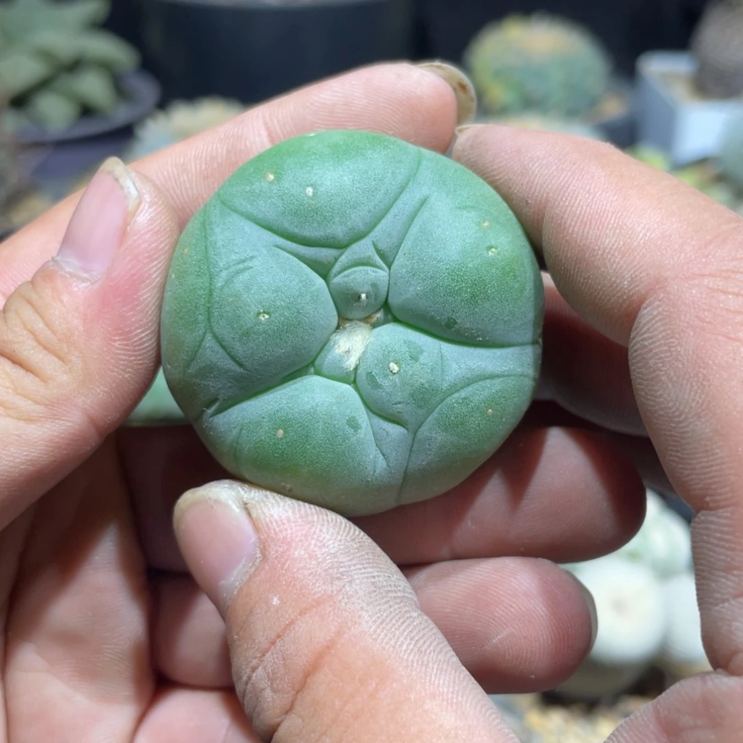 N**.实生海鲜特价