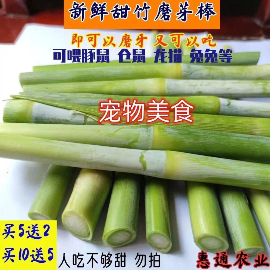 新鲜甜竹磨牙棒宠物兔子仓鼠豚鼠龙猫饲料粮树枝磨牙石草饼棒口粮