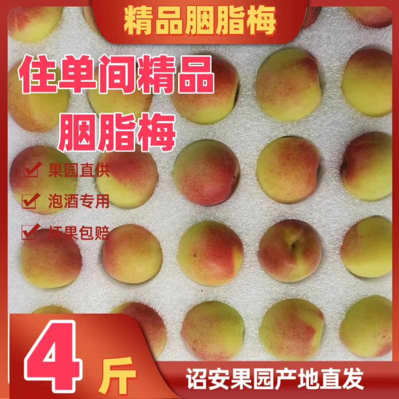 【颗粒装诏安梅子】正宗诏安4斤青梅高山梅子泡酒酵素酸脆胭脂梅