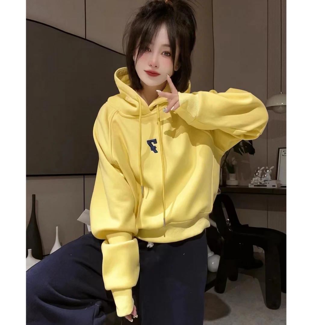 设计感小众秋冬新款2024加绒加厚套头连帽女短款韩版卫衣11276