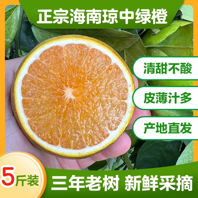 【现摘现发】海南琼中绿橙一级果5/10礼盒包装装皮薄肉厚清甜