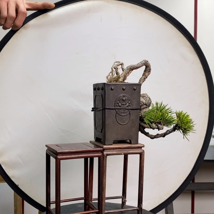 【闪购商品】红陶忘*