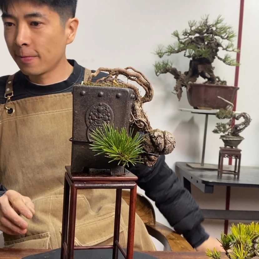 【闪购商品】红陶171cm(含)-200cm(含)拼*