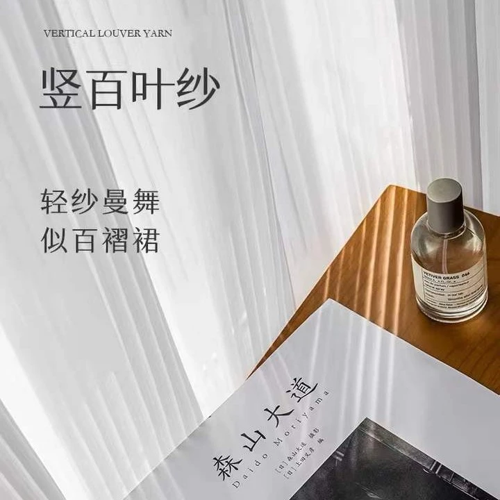 2023新款竖百叶纱帘网红梦幻窗帘透光不透人白色飘窗阳台窗纱白纱