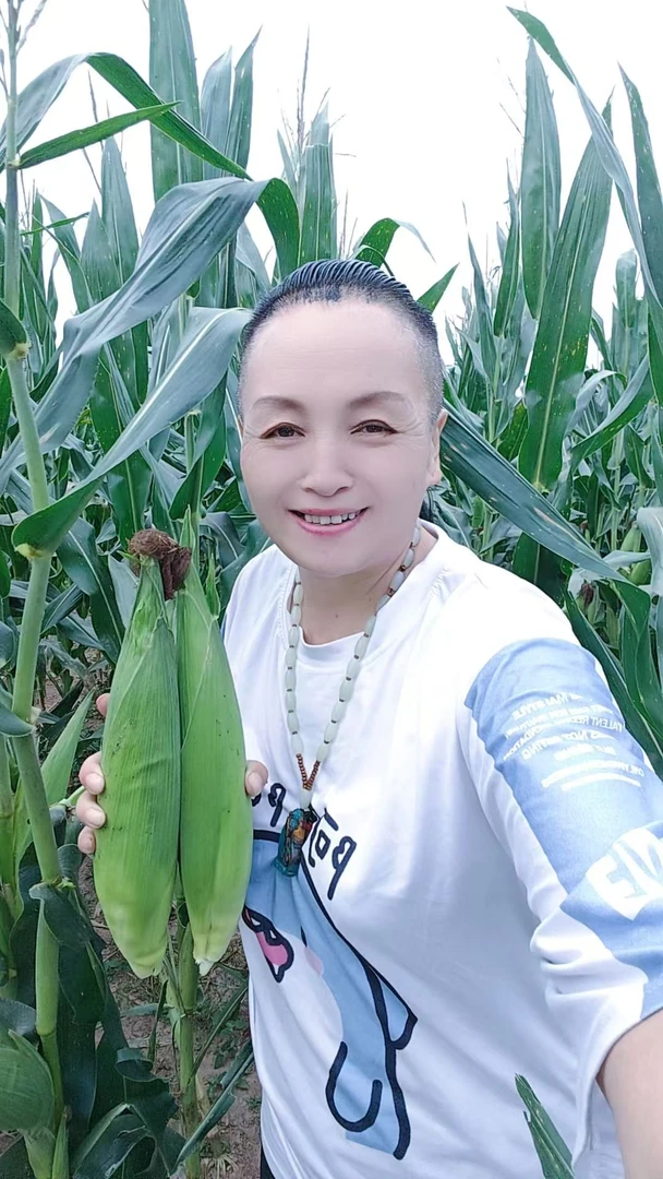 徐姐 当季山东笨玉米 鲜玉米