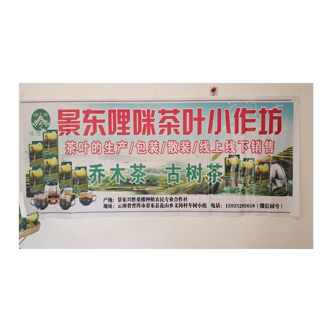 生态乔木茶绿茶300克袋装普洱茶大叶种晒青毛茶茶叶栗香