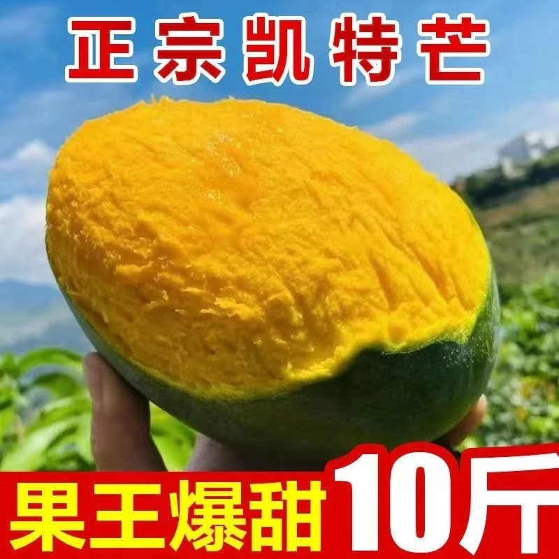 攀枝花凯特大芒果大青芒爆甜非金煌芒新鲜应季水果一整箱包邮1g