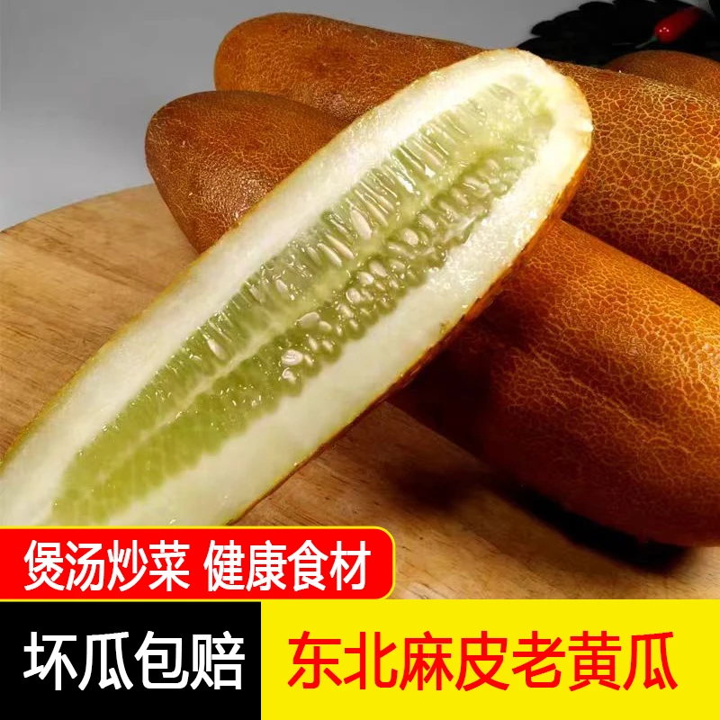 东北农家新鲜麻皮老黄瓜煲汤炒菜凉拌健康营养5/9斤顺丰包邮
