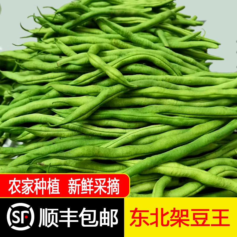 东北新鲜架豆王四季豆农家自种现摘绿色2/3斤顺丰/京东空运包邮