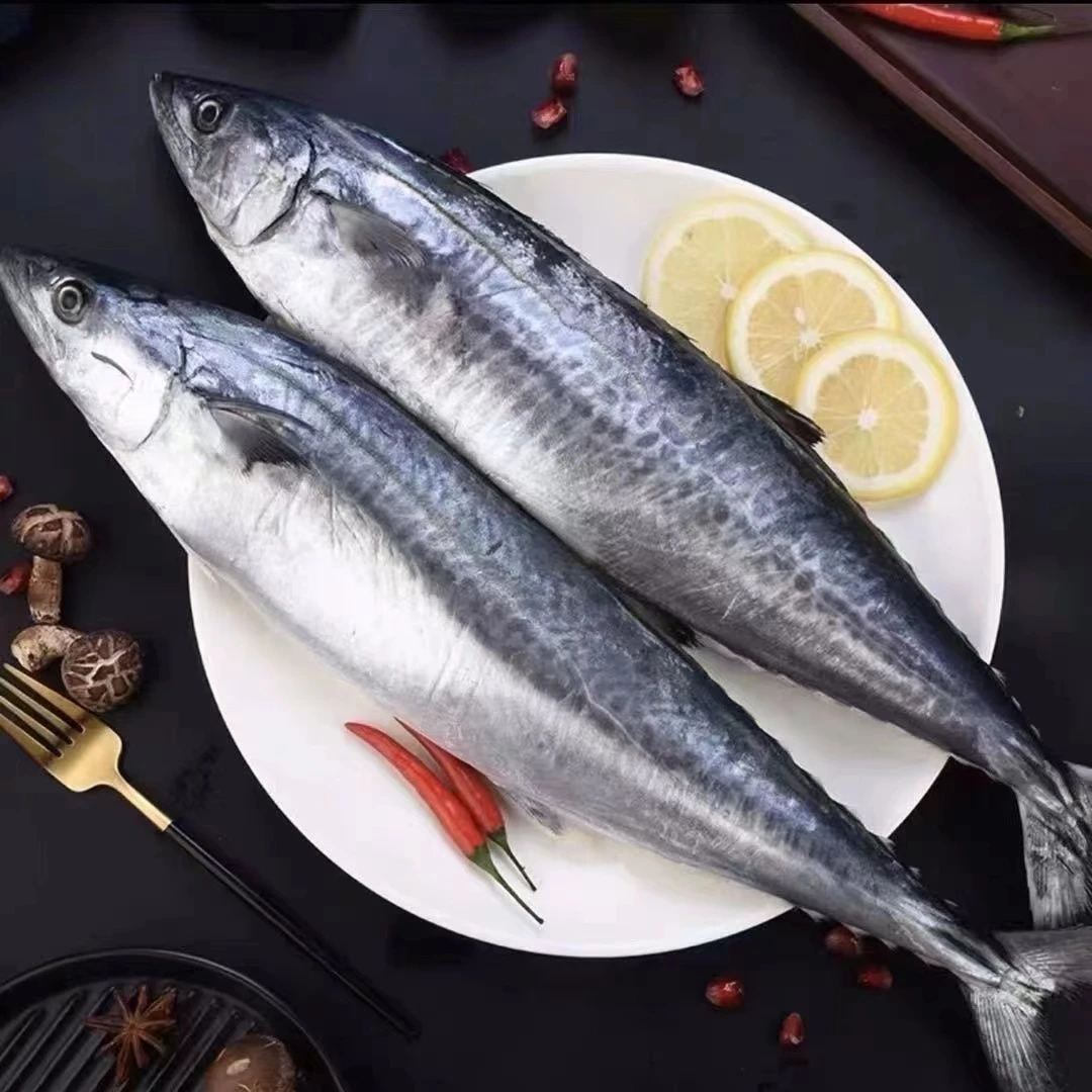 广东新鲜马鲛鱼【6条，到手5斤左右】