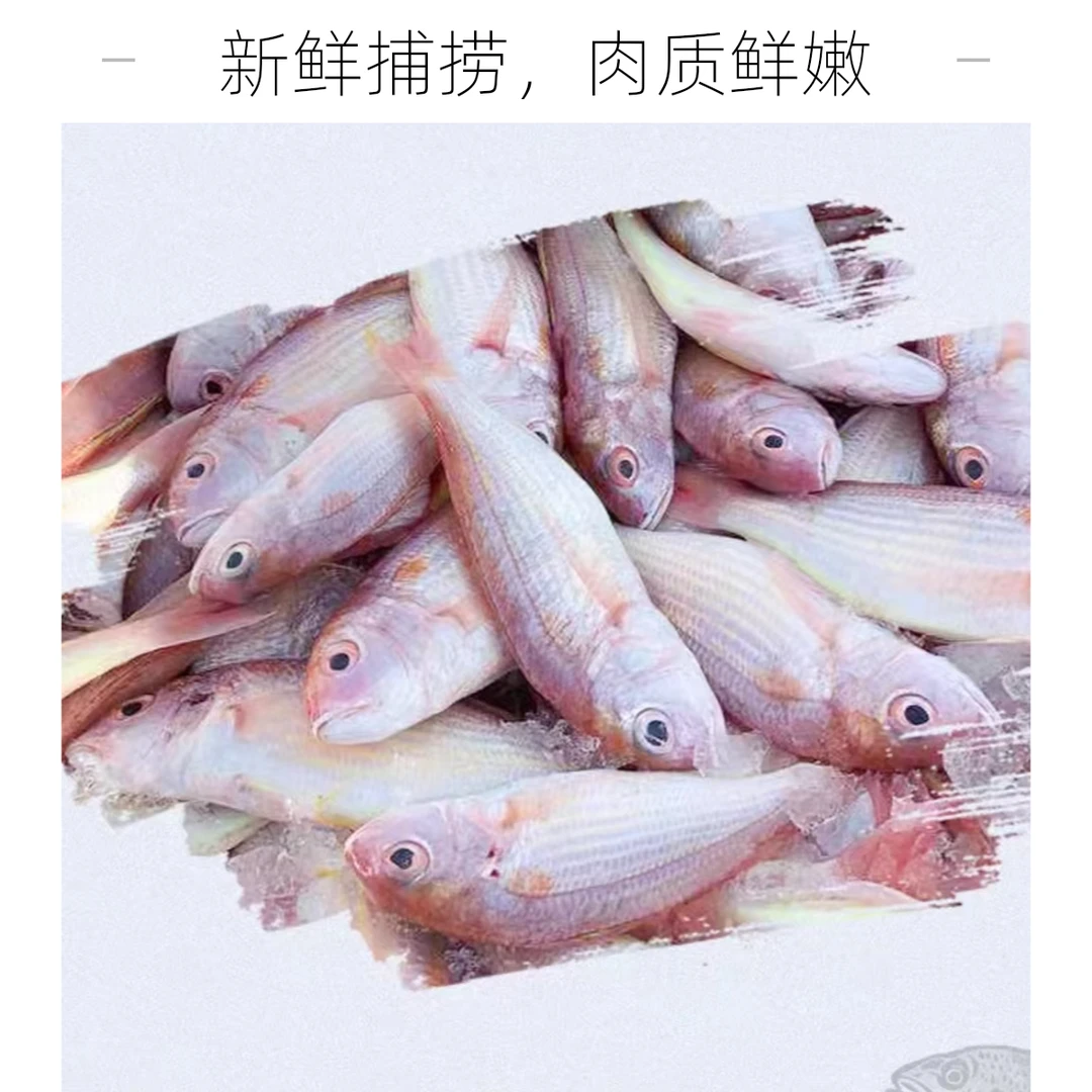 广东新鲜海捕海鱼海鲜礼盒套餐【一斤4-6条，到手4斤】