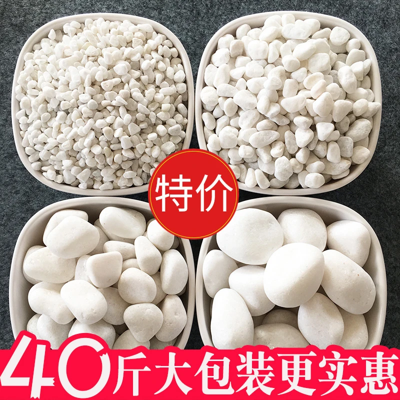 40斤白色石子景观石头大小鹅卵石庭院铺路铺地阳台花园白石子造景