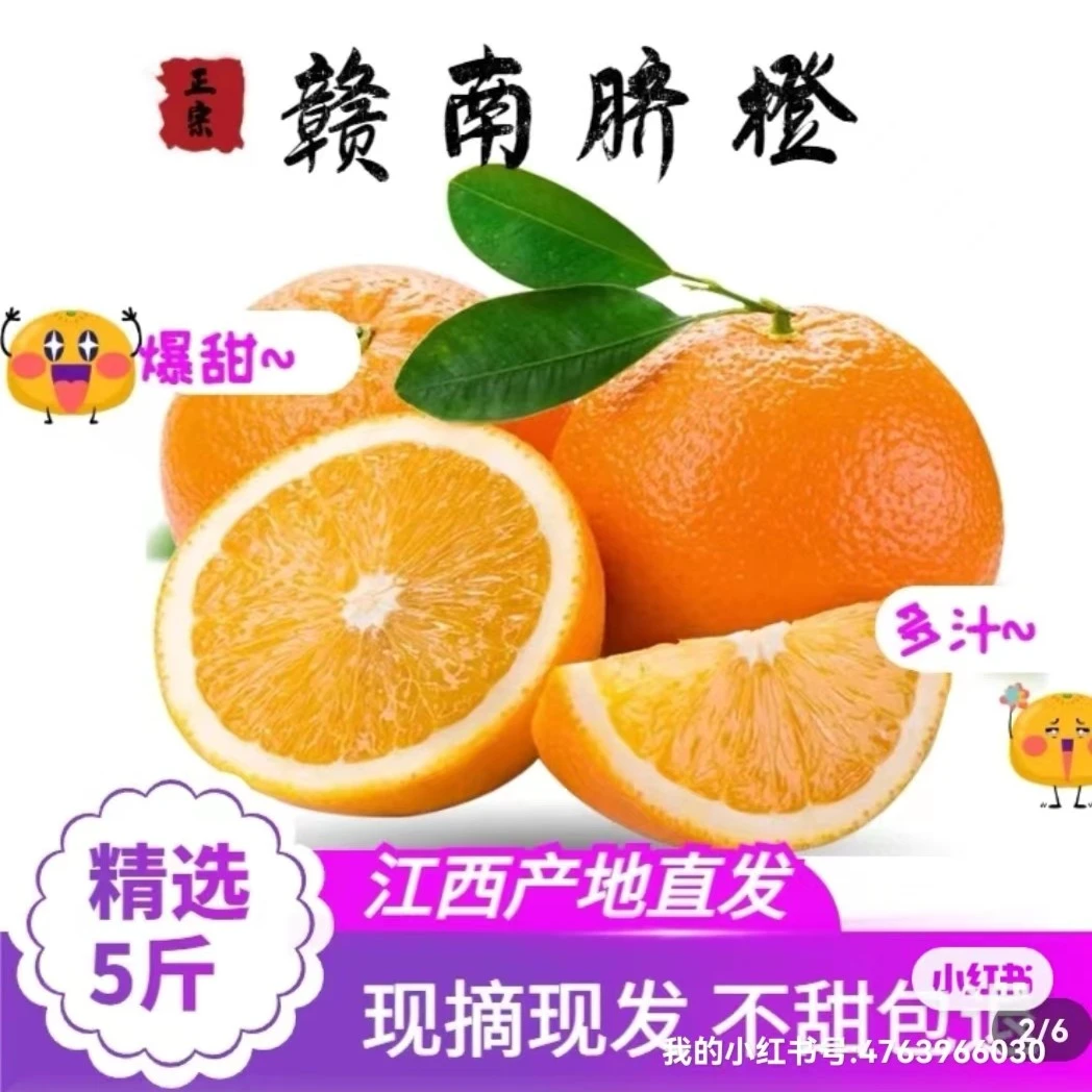 (特价福利)赣南潮溪正宗赣南脐橙含纸箱5斤到十斤