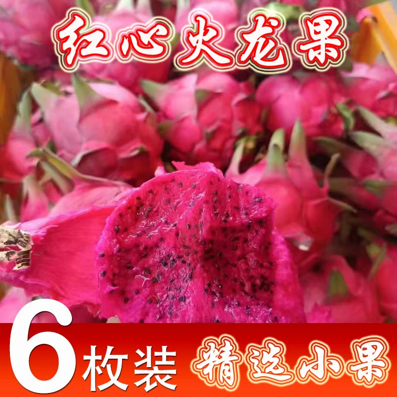 【6枚小果精选装】金都一号蜜宝红心火龙果新鲜采摘小果饱满圆润