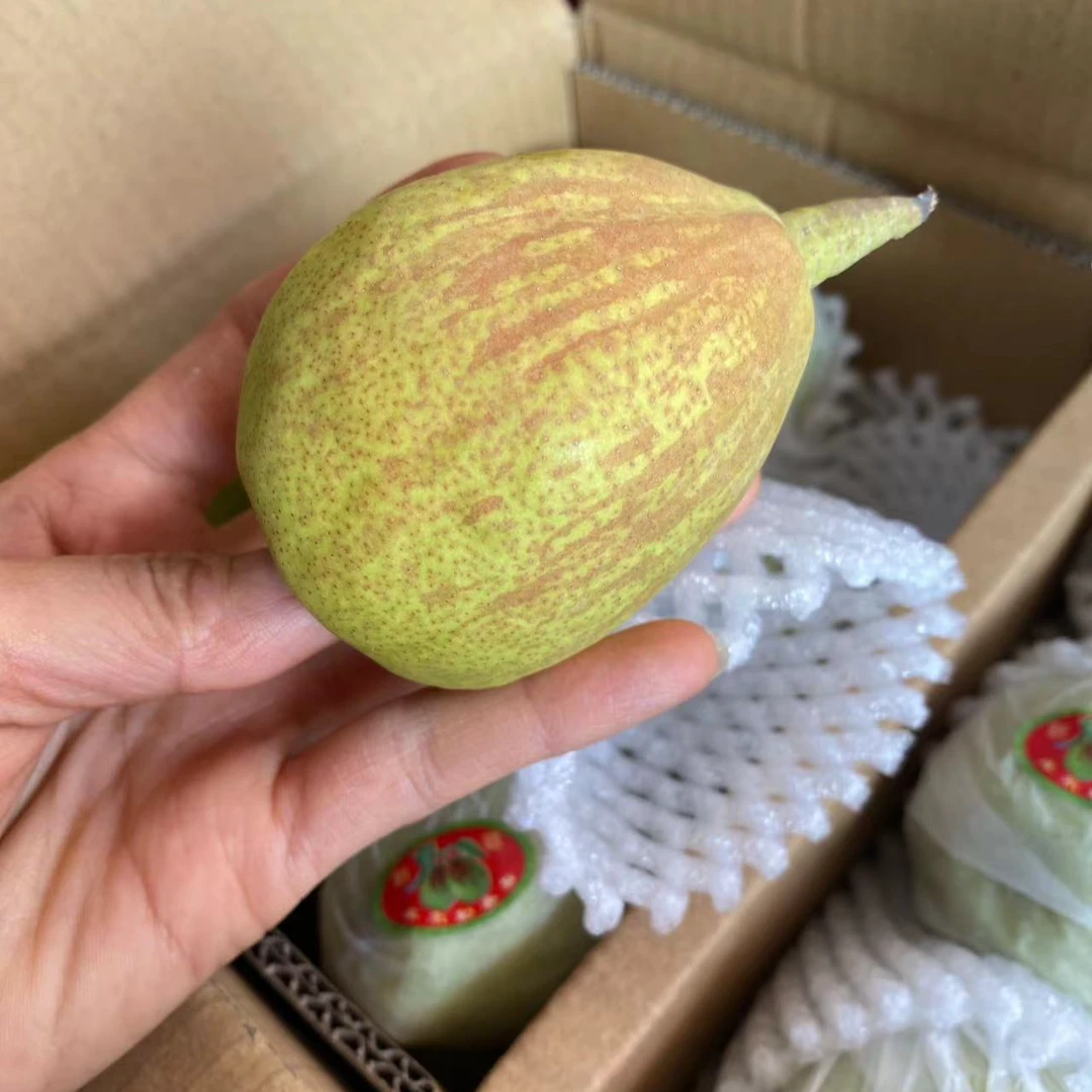 【来点好货】新疆库尔勒香梨 10斤装 香甜酥脆  细嫩无渣 能让你一口爆汁 皮薄如纸的外皮牙齿一磕满嘴汁液
