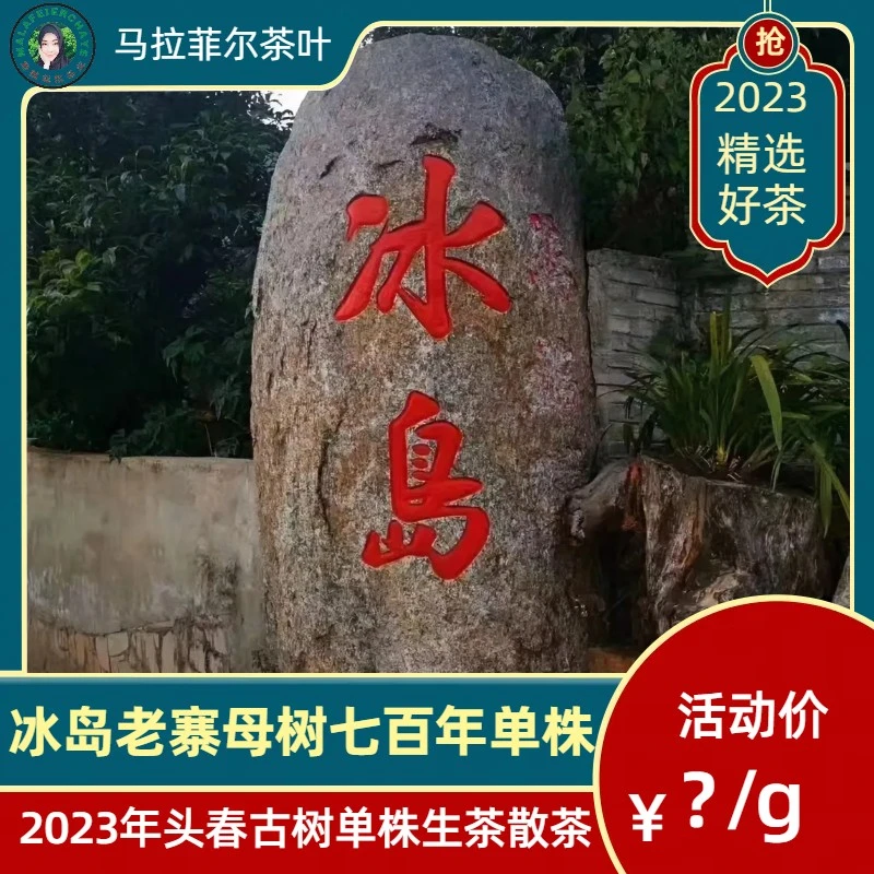冰岛老寨母树七百单株2023年头春古树单株生茶100克散茶