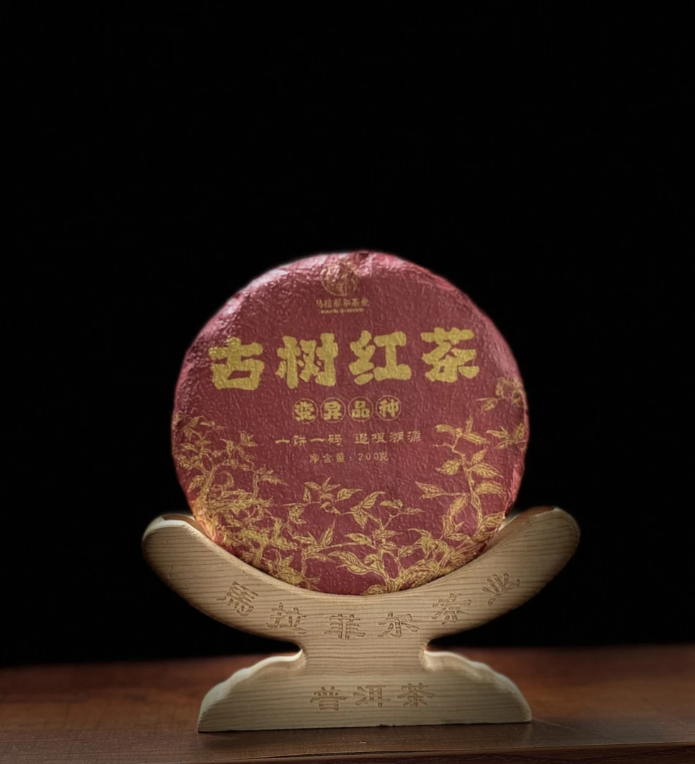 红茶白莺山基地五百年以上头春头采变异品种红彤彤200克饼