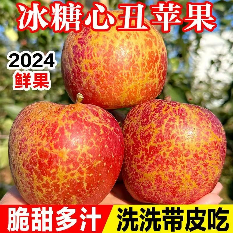 【大凉山盐源苹果】2024新鲜现摘丑苹果新鲜当季水果含蜜香果香浓郁