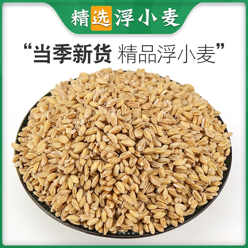 浮小麦中药材止汗手工精选浮小麦茶浮麦瘪小麦