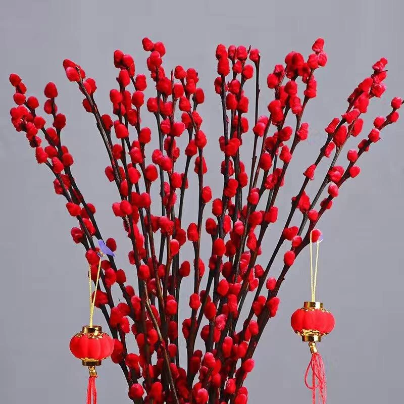 (粉丝福利)年宵花银柳真花新鲜室内花卉装饰(银柳花银柳真花鲜枝