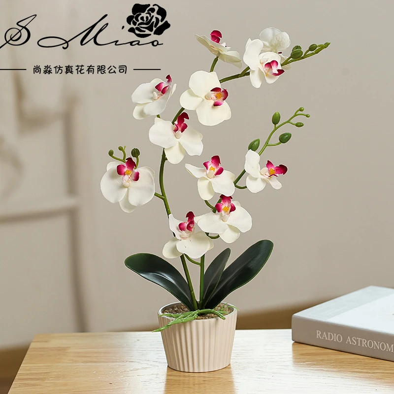 遇花卉新款 两叉蝴蝶兰大盆景绿植厂家直供花创意摆件人造植物假
