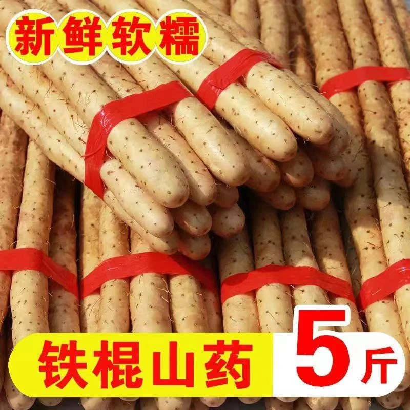 精品新鲜软糯山药净重五斤装产地直发