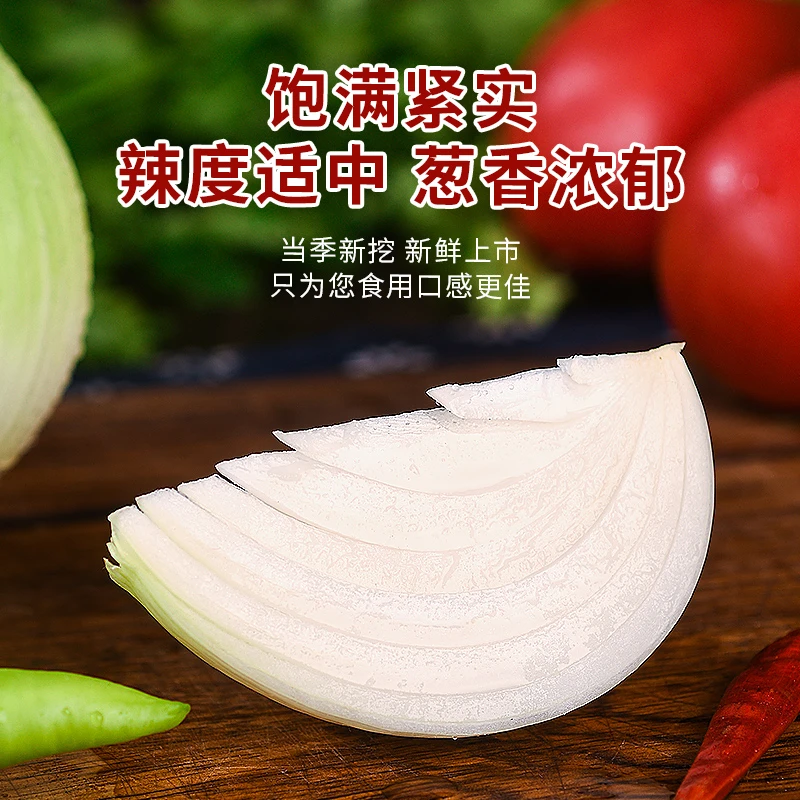 鲜辣不是水果洋葱精选新洋葱脆爽多汁产地直销