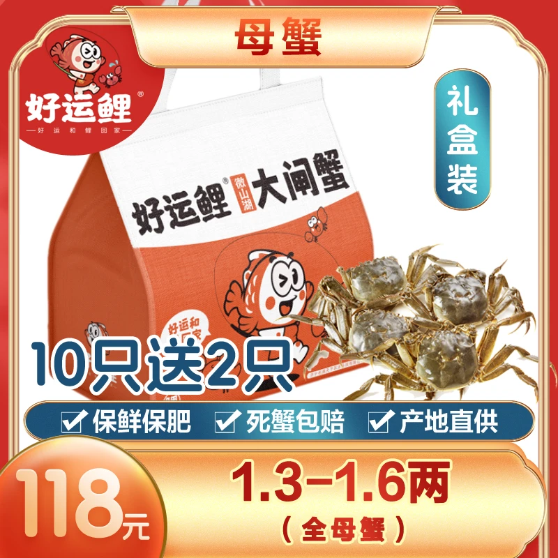 【不绑腿·中秋礼盒·全母蟹1.3-1.6两/只】好运鲤大闸蟹