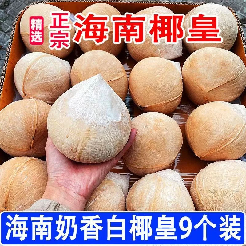 海南牛奶椰白新鲜椰皇去皮椰子奶椰青椰子水孕妇宝妈水果