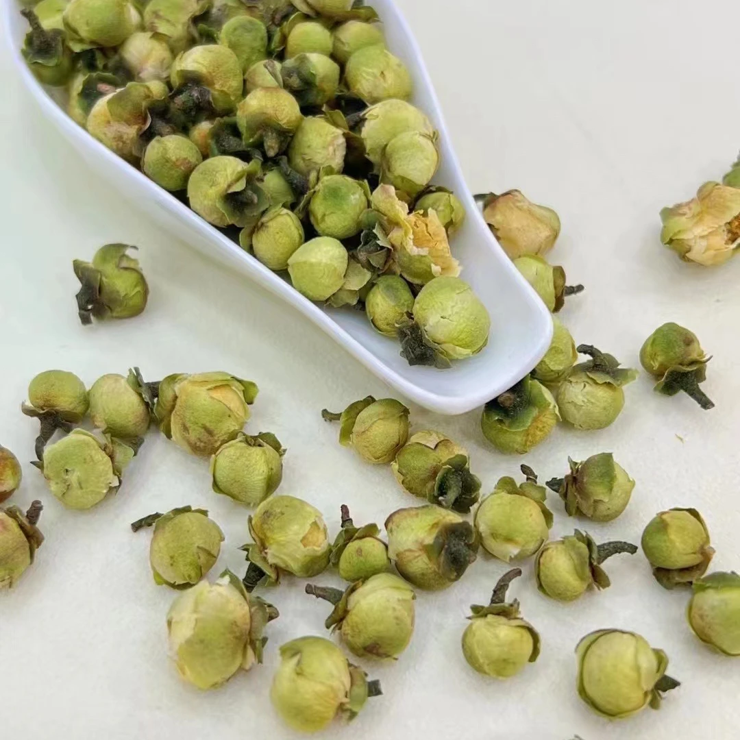 荒野老树白茶花 福鼎白茶花苞豆乳香 可搭配白毫银针白牡丹