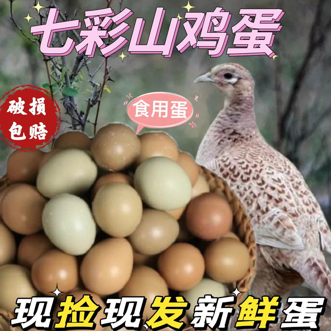 新粉浮力2  七彩山鸡蛋 现捡现发新鲜蛋 一枚25克左右农产品食用