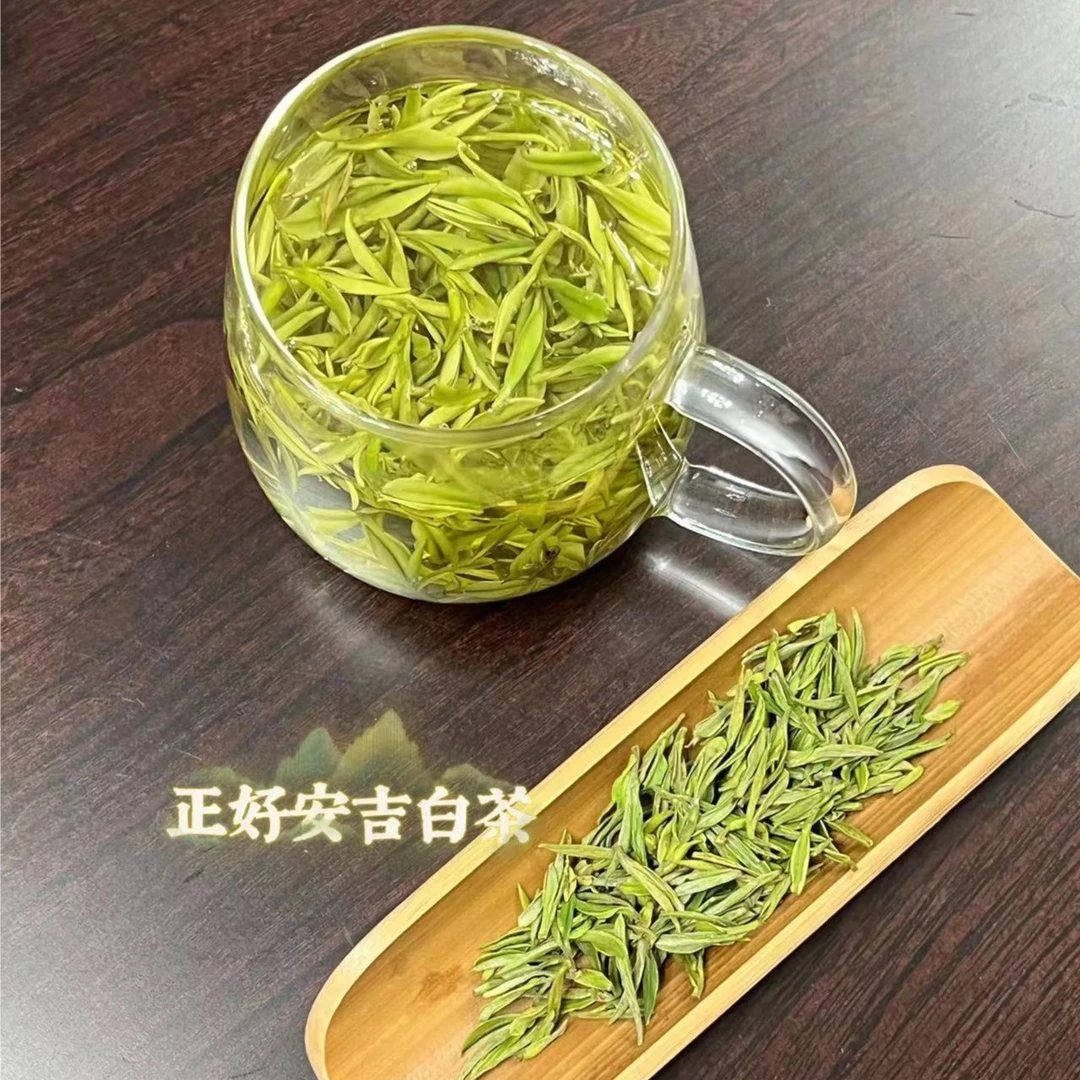 【8号精品】2023年新茶安吉白茶溪龙核心产区春季鲜爽回甘