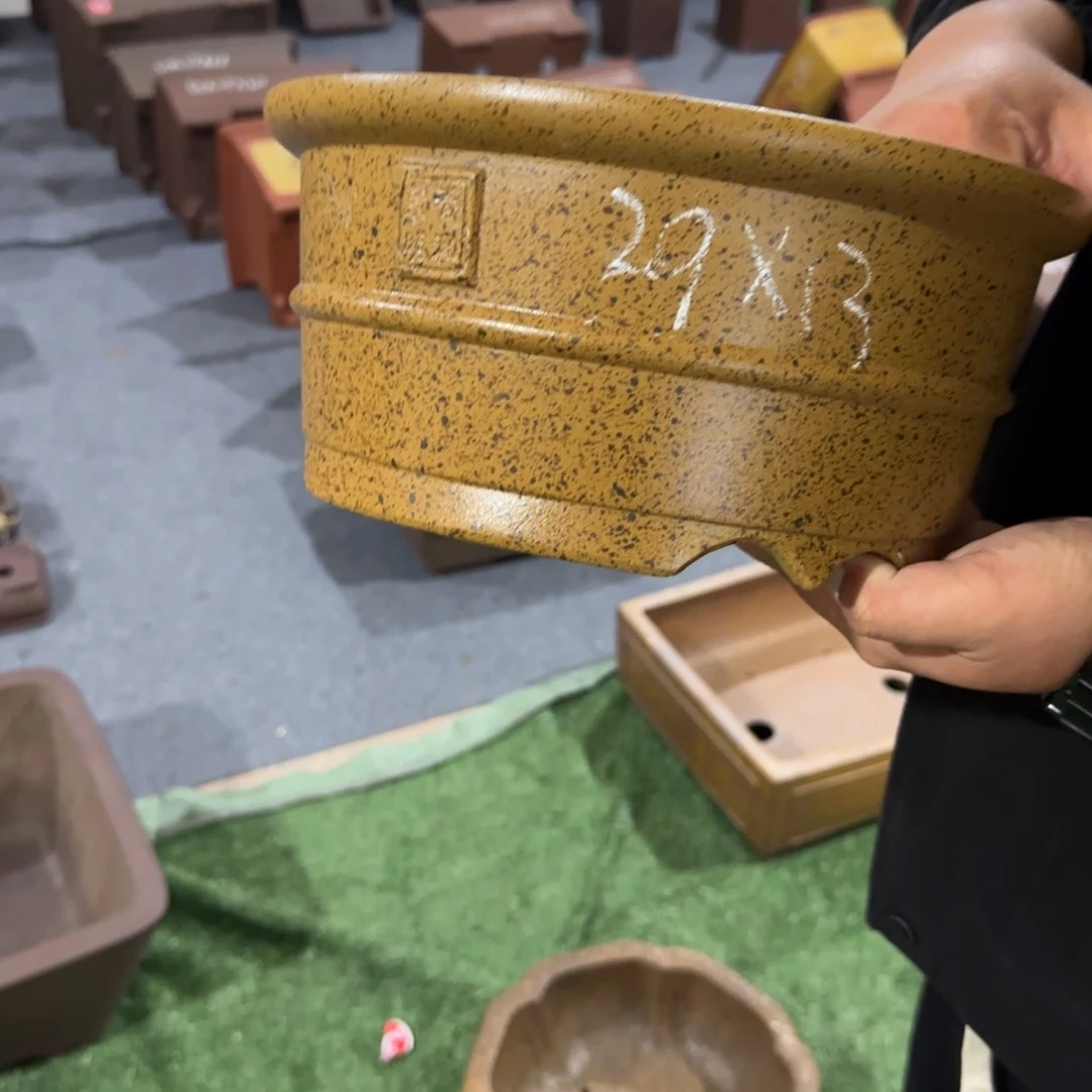 紫砂花盆呜呜呜我真的好想你了