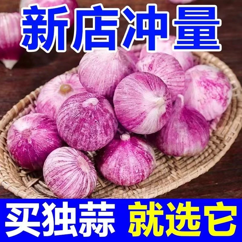 【今年干蒜】新鲜干蒜紫皮独头蒜大蒜红皮大蒜头香蒜红蒜独蒜