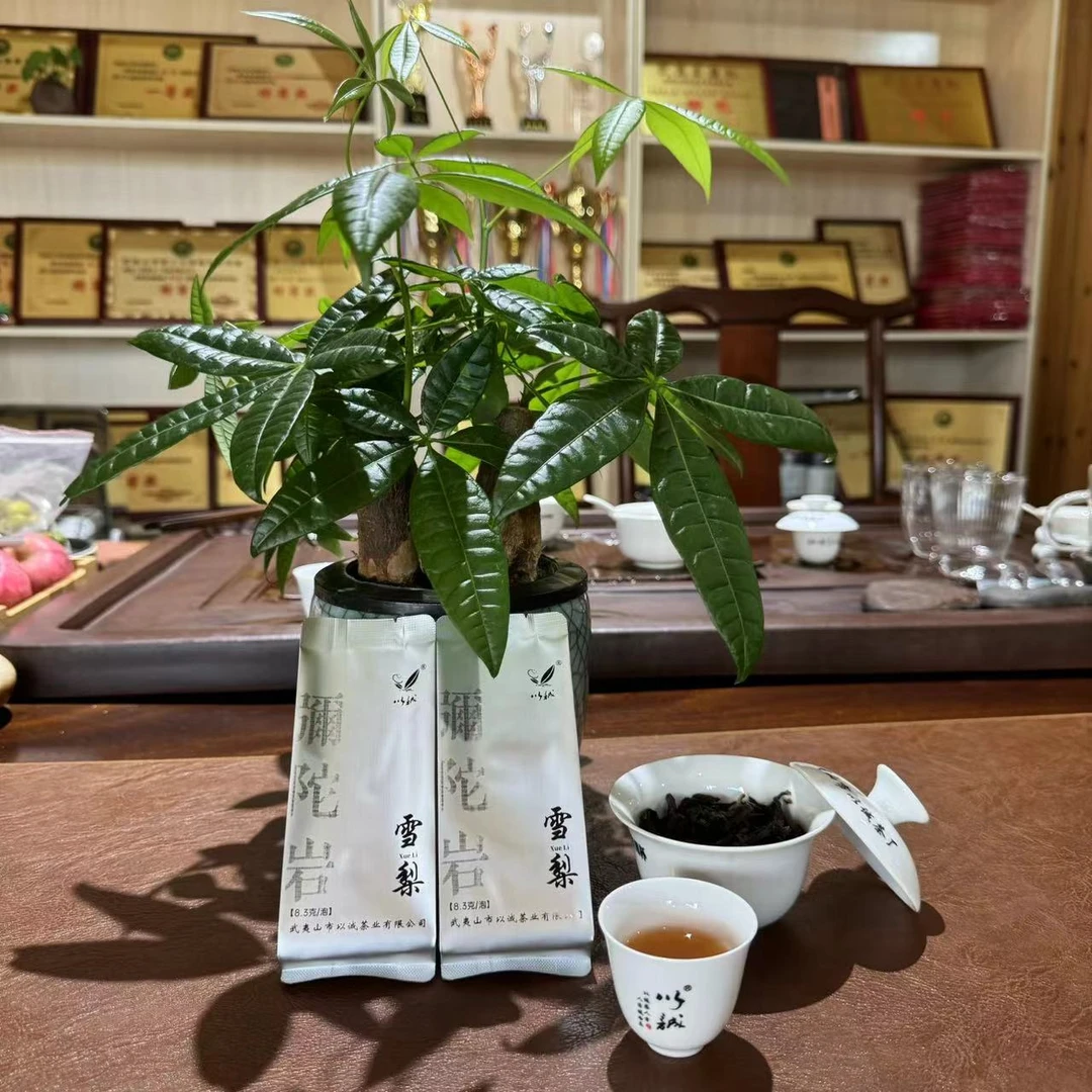 【新品上市 雪梨】中轻火 清新淡雅 入口清甜 武夷岩茶