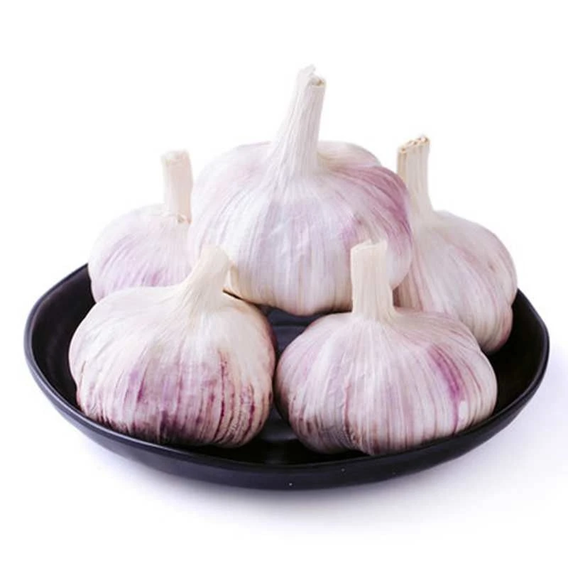 蒜头 约300g