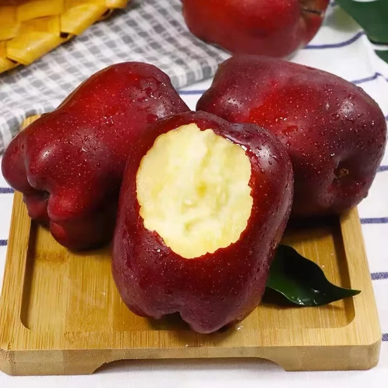 【顺丰包邮】甘肃天水花牛苹果新鲜水果蛇果5/10斤脆甜粉面