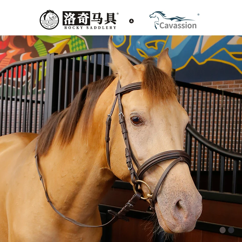 cavassion牛皮水勒缰 缰绳马术运动配件 马匹装备洛奇马具8218104