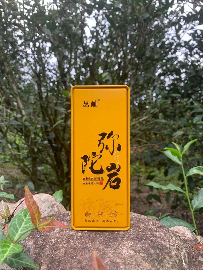 丛屾 弥陀岩肉桂 武夷岩茶 2泡铁盒装 正岩 半岩 桂皮香馥郁正桂